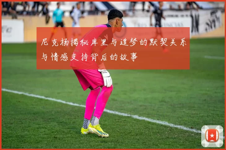 尼克杨揭秘库里与追梦的默契关系与情感支持背后的故事
